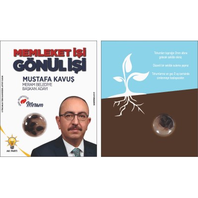 KARIŞIK KIR ÇİÇEĞİ TOHUMLARI